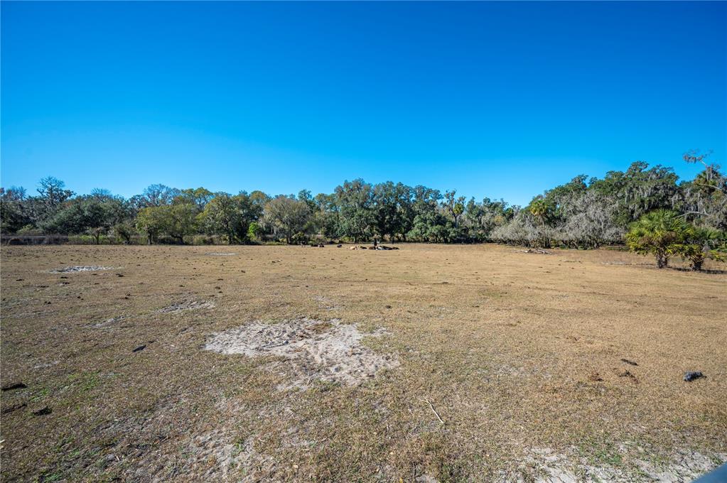 6531 Durant Road Plant City, FL 33567 - Photo 25 of 60