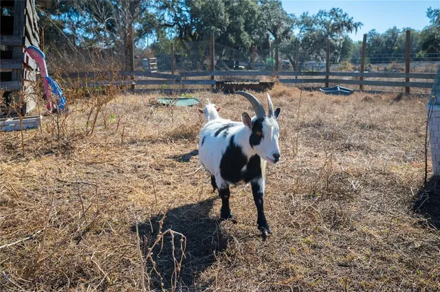 $1,300,000 | 6531 Durant Road, Plant City, FL 33567