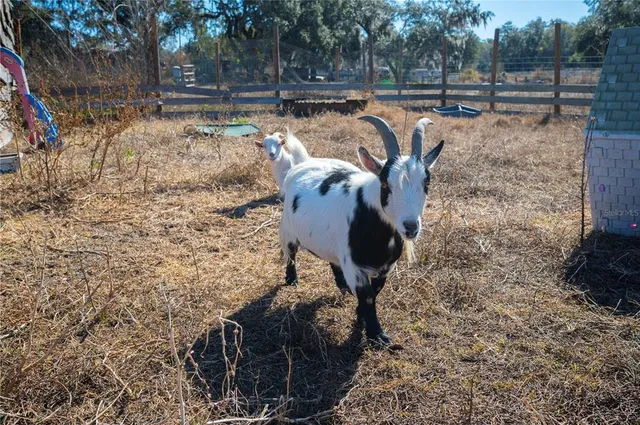 $1,300,000 | 6531 Durant Road, Plant City, FL 33567