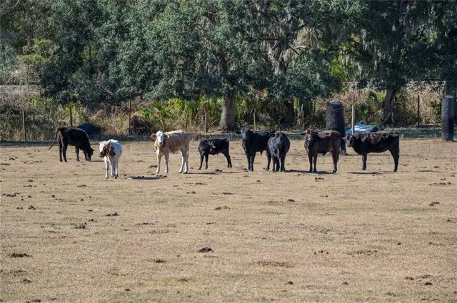 $1,300,000 | 6531 Durant Road, Plant City, FL 33567