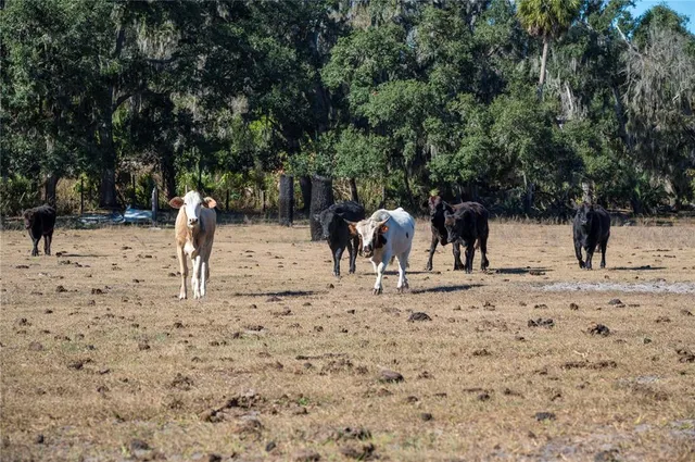 $1,300,000 | 6531 Durant Road, Plant City, FL 33567