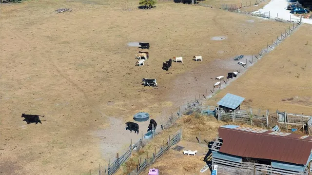 $1,300,000 | 6531 Durant Road, Plant City, FL 33567