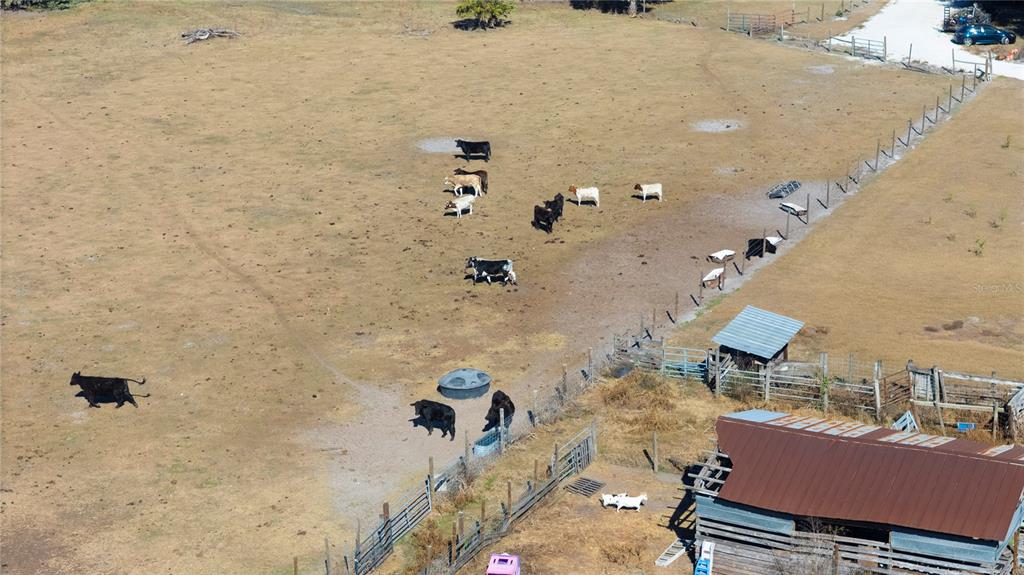 6531 Durant Road Plant City, FL 33567 - Photo 47 of 60