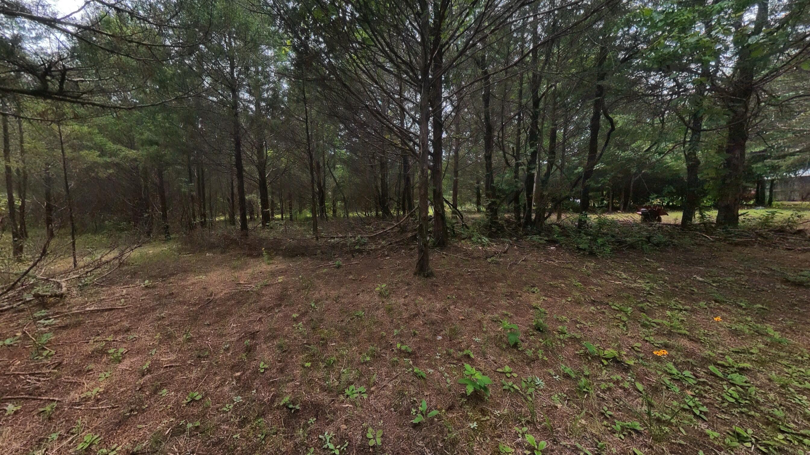 3261 North Camp Creek Road Mammoth Spring, AR 72554 - Photo 24 of 38 Home on a 12+ acre hobby farm031