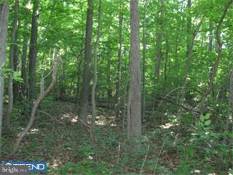264 Hibernia Road Coatesville, PA 19320 - Photo 4 of 4 Gallery Image 4