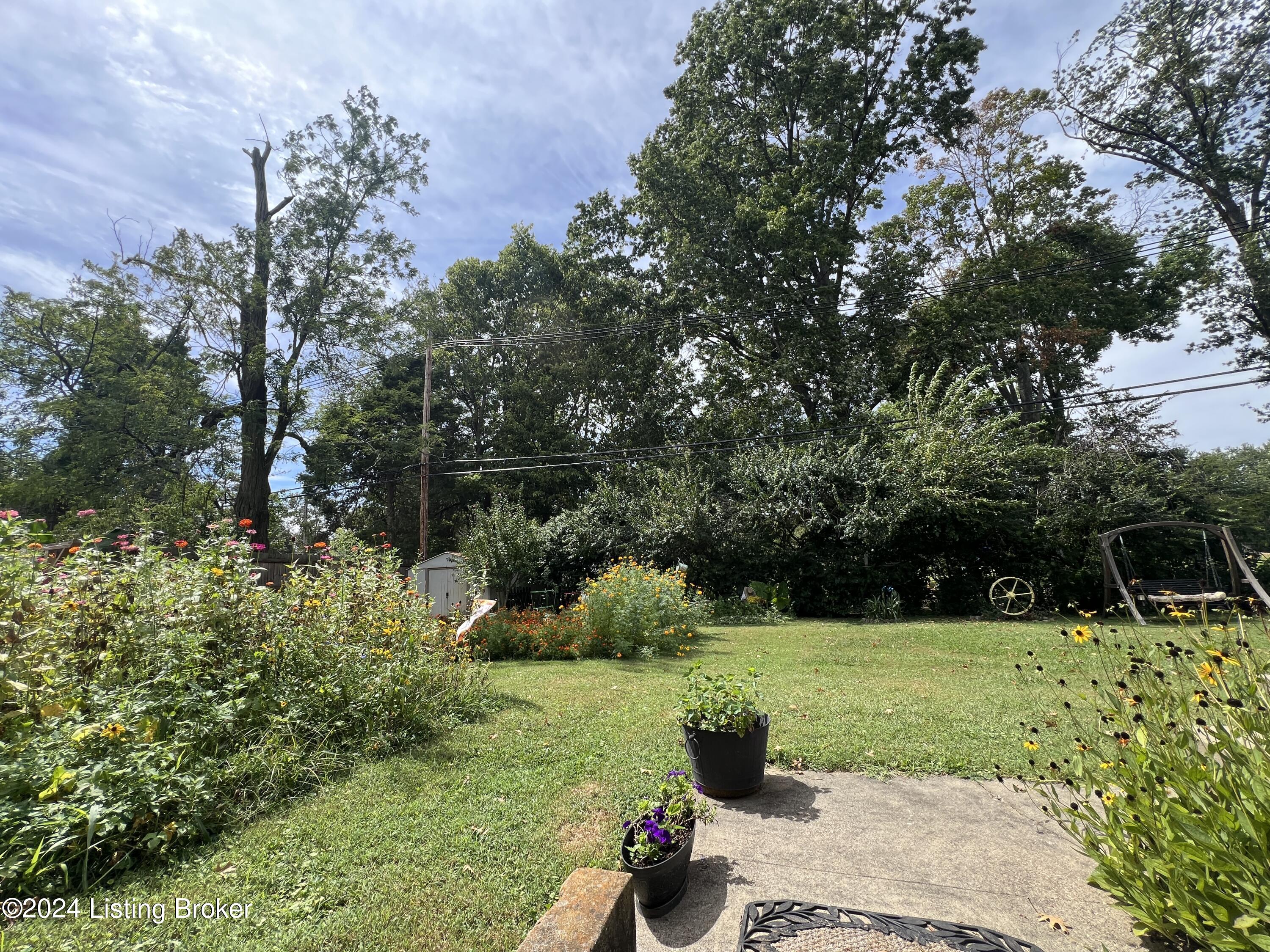126 Blue Ridge Road Louisville, KY 40223 - Photo 35 of 88 126 Blue Ridge Rd - Backyard