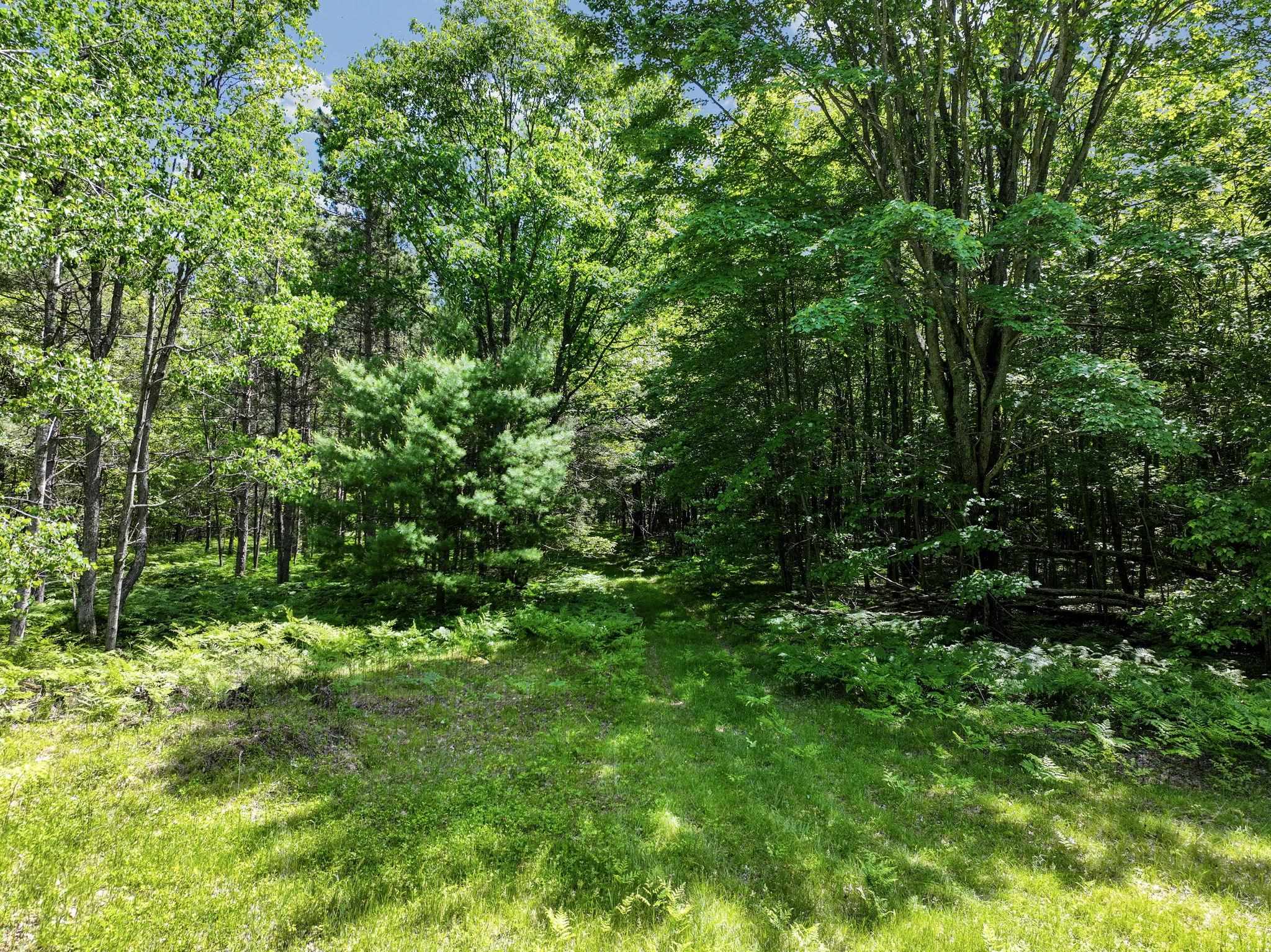 Parcel B Seeley Road Cadillac, MI 49651 - Photo 3 of 17