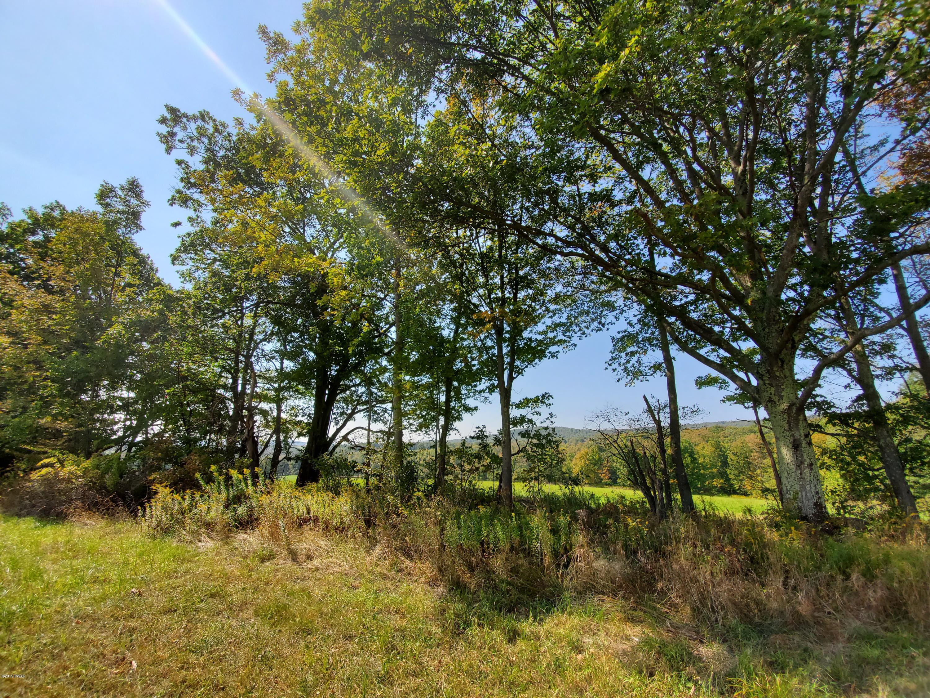 South Preston Road Lakewood, PA 18439 - Photo 5 of 16