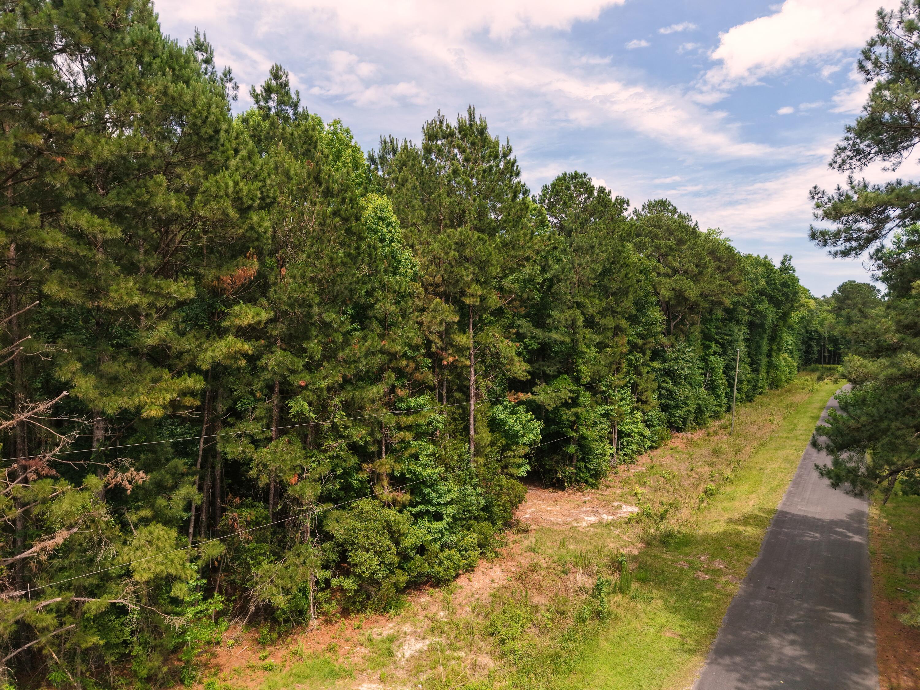 0 Hickory Hill Road Green Pond, SC 29446 - Photo 2 of 20 DJI_20260527153257_0169_D