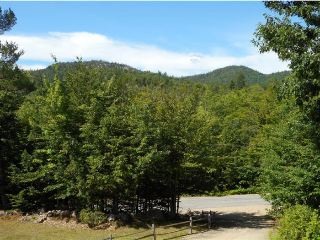 238 Jericho Road Bartlett, NH 03838 - Photo 4 of 19