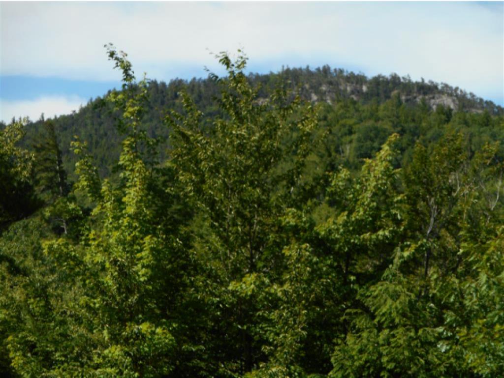 238 Jericho Road Bartlett, NH 03838 - Photo 5 of 19