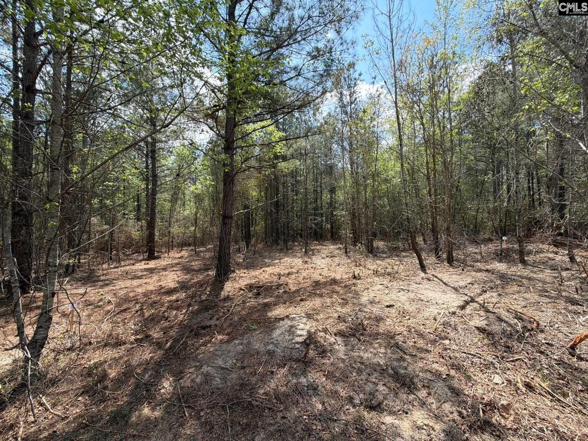 2 Mt Calvary Rd Ridge Spring, Unit CA 2 Ridge Spring, SC 29129 - Photo 14 of 29