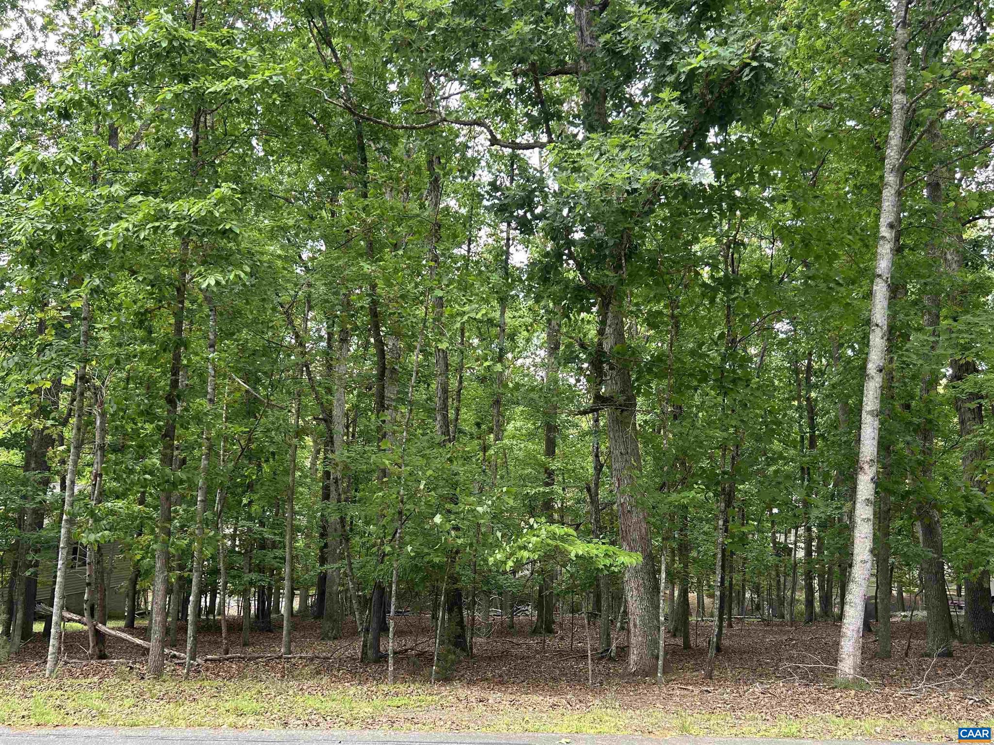 25 Laguna Road, Unit 130 Palmyra, VA 22963 - Photo 1 of 2 a backyard of a house with lots of plants and trees