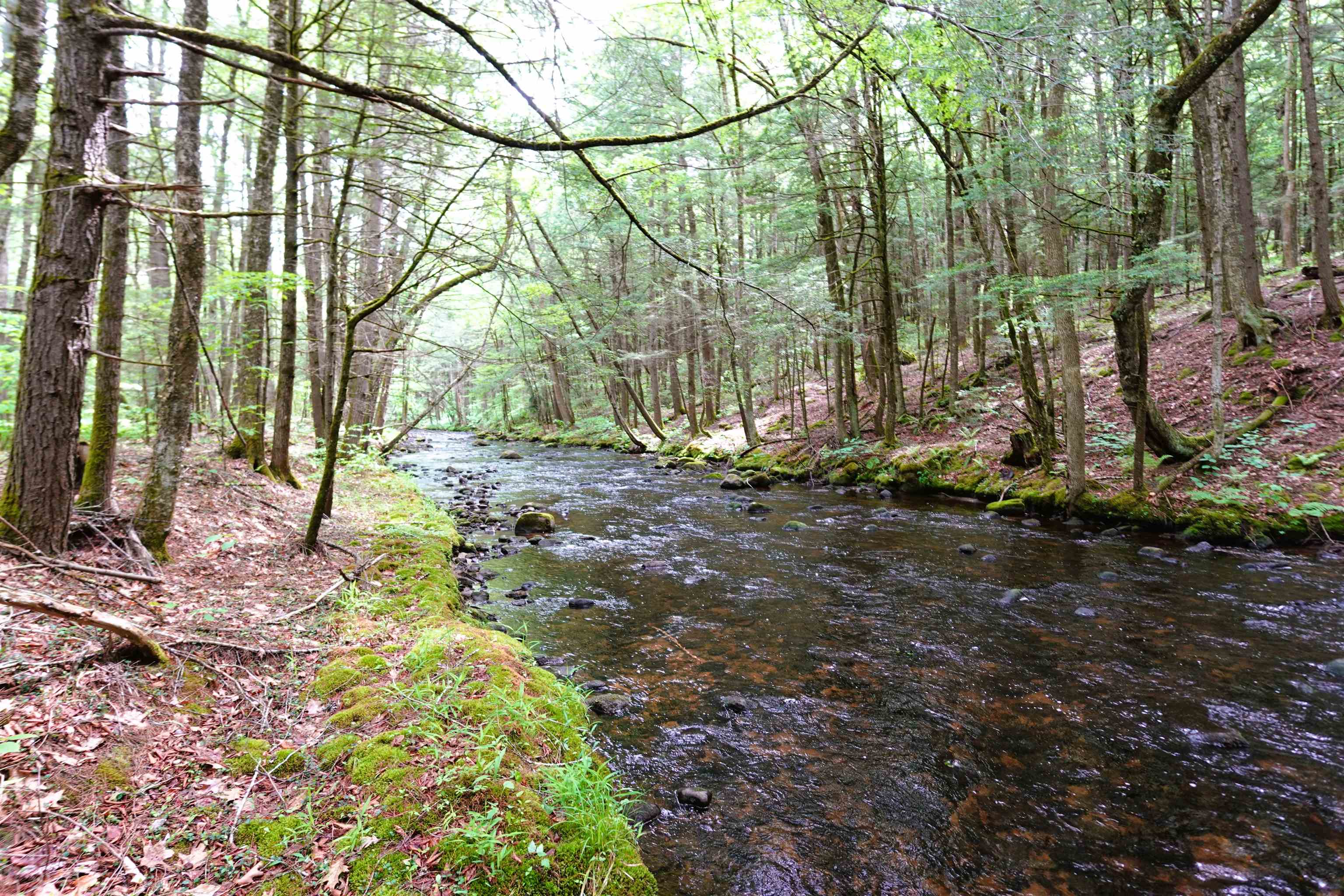 525 Richmond Road Winchester, NH 03470 - Photo 1 of 29