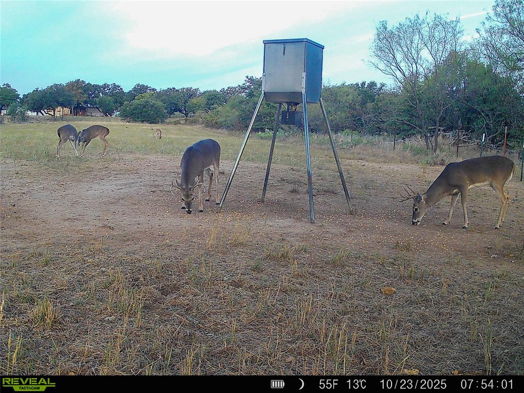 2417 Highway 569 Cisco Tx 76437 Cisco, TX 76437 - Photo 25 of 40