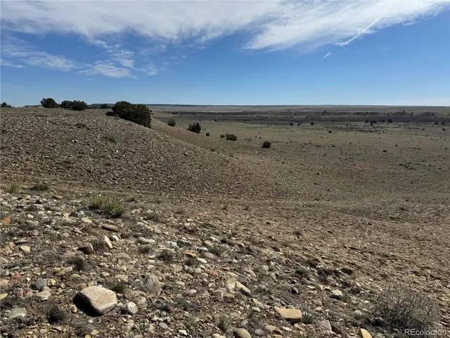 $59,000 | Lot 90 Colorado Land & Livestock, Unit E, Rye, CO 81069