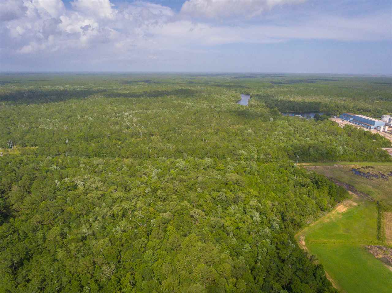 73 Hope Lane St. Marks, FL 32355 - Photo 16 of 17