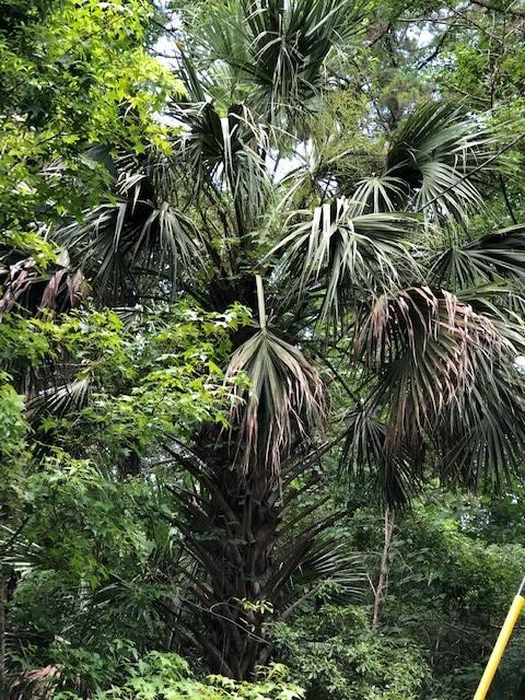 73 Hope Lane St. Marks, FL 32355 - Photo 2 of 17