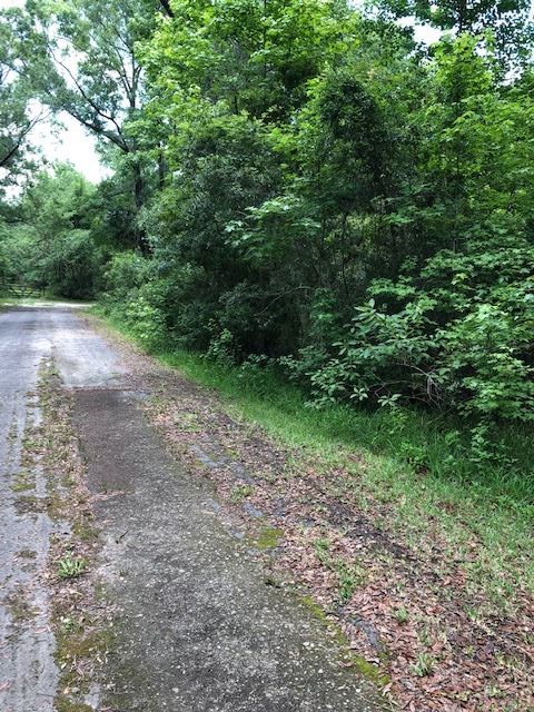 73 Hope Lane St. Marks, FL 32355 - Photo 3 of 17