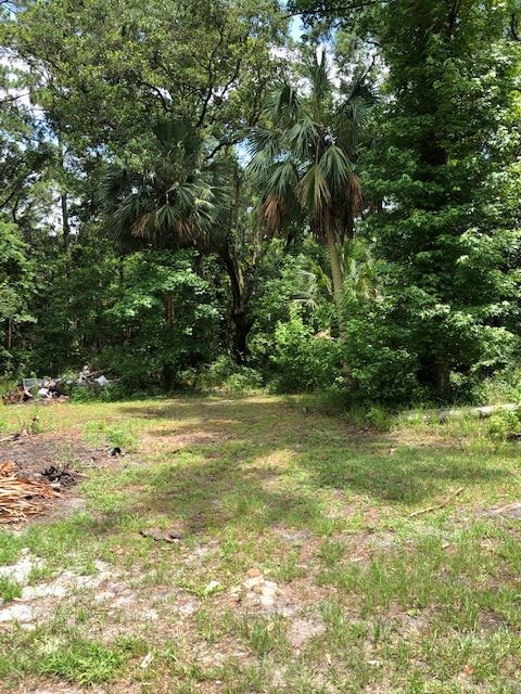 73 Hope Lane St. Marks, FL 32355 - Photo 4 of 17