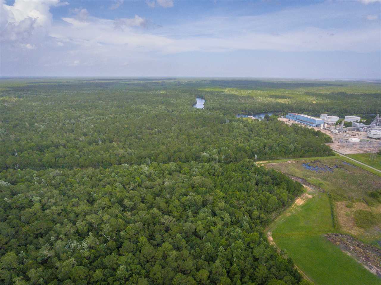 73 Hope Lane St. Marks, FL 32355 - Photo 6 of 17