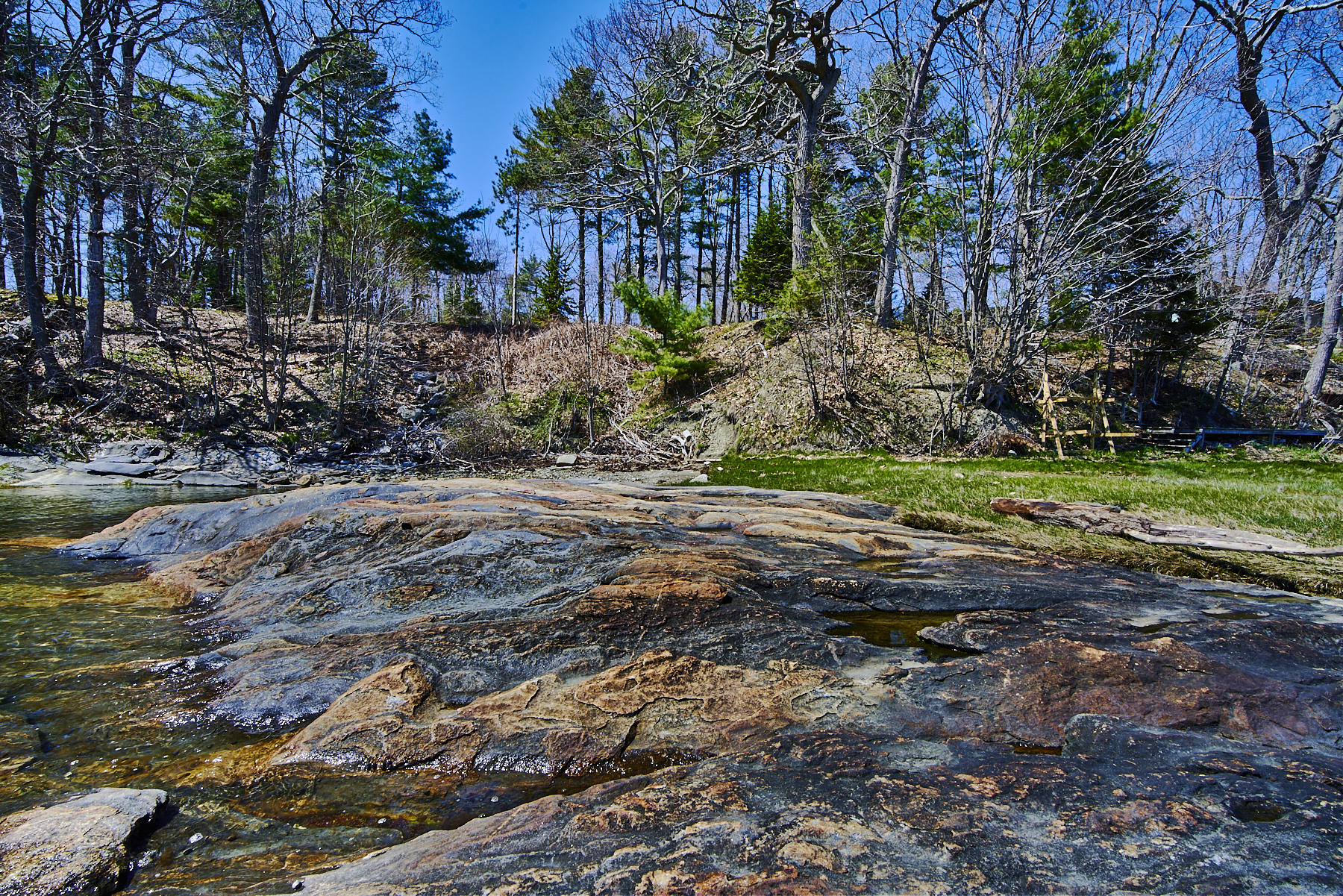 12 Ledge Road Cumberland, ME 04110 - Photo 44 of 50 amy-tarbox-cumberfore-caffeine-creative-