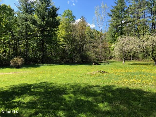 405 Bozenkill Road Knox, NY 12009 - Photo 10 of 40 IMG_5772