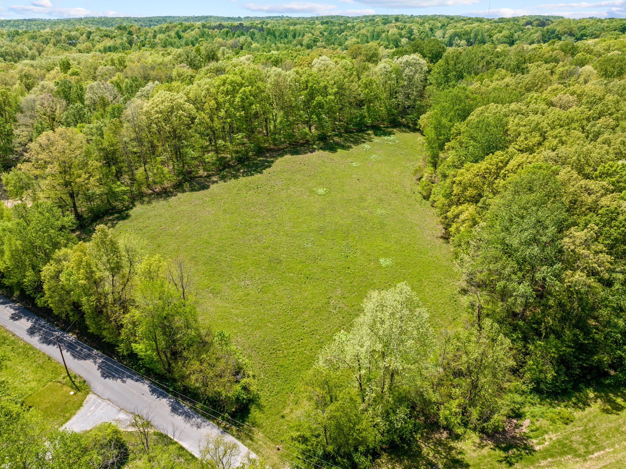 0 Denmark Road Erin, TN 37061 - Photo 1 of 10 Gallery Image 1