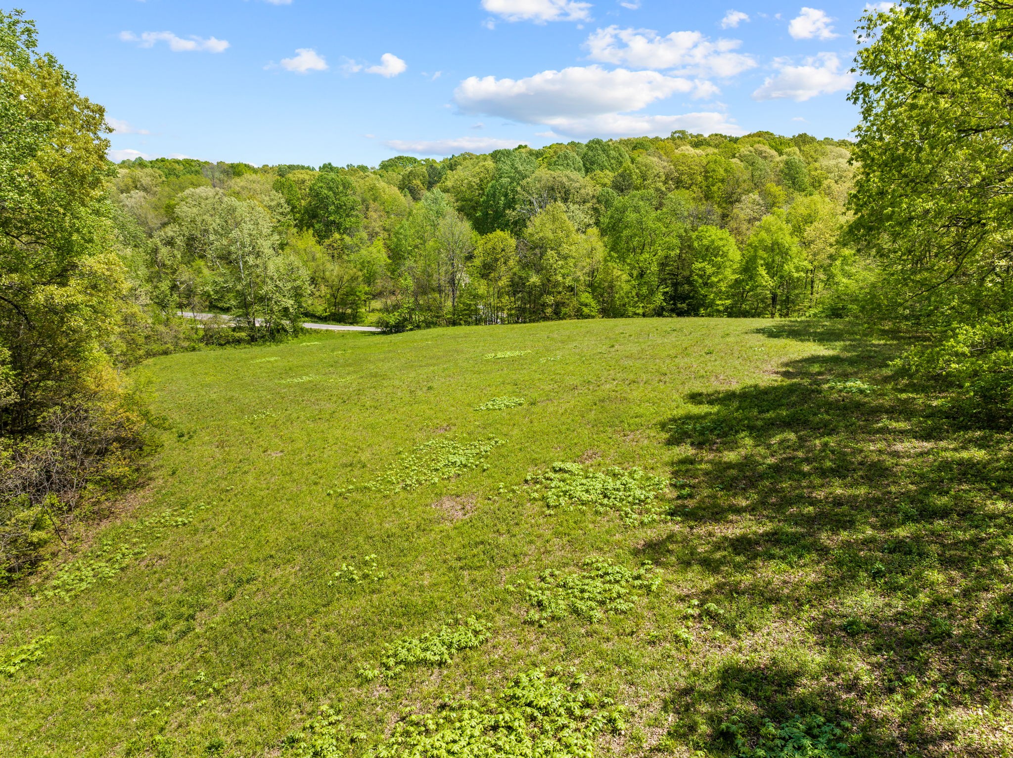 0 Denmark Road Erin, TN 37061 - Photo 3 of 10 Gallery Image 3