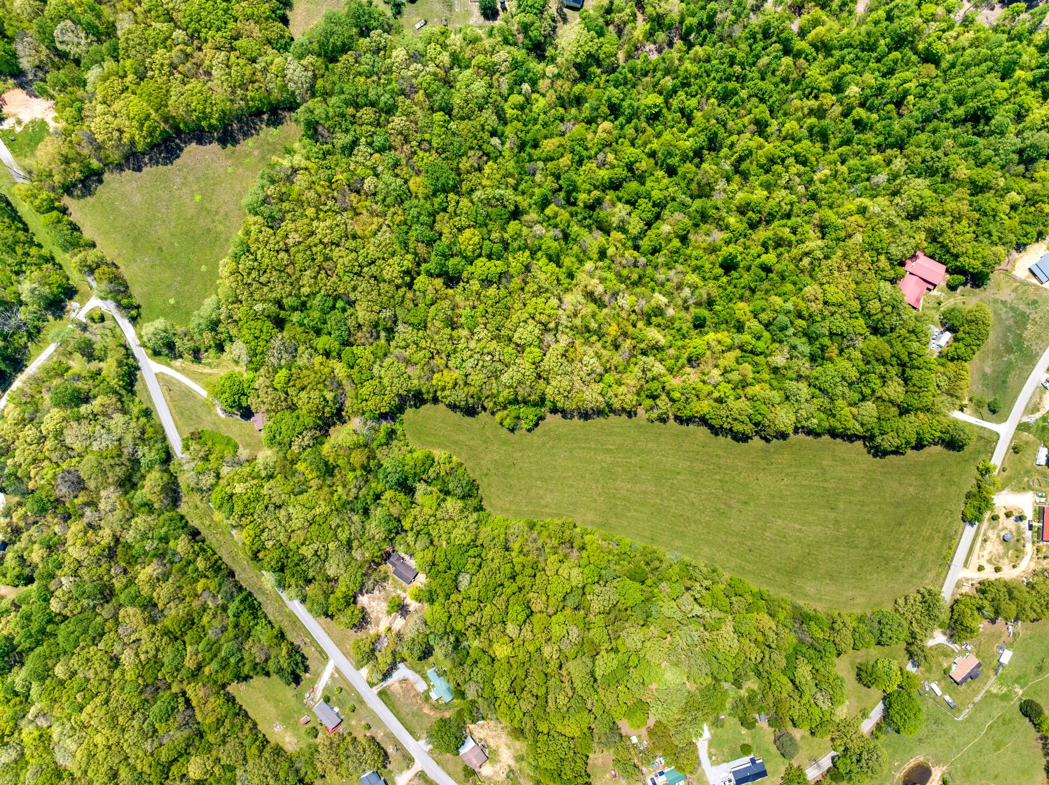 0 Denmark Road Erin, TN 37061 - Photo 5 of 10 Gallery Image 5