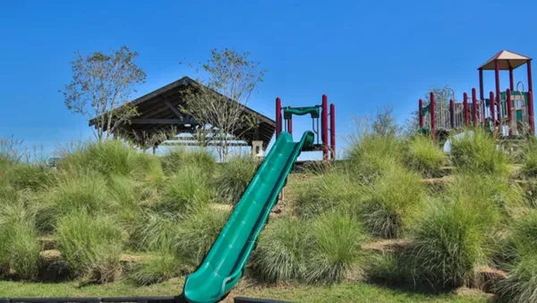 a view of a yard with a plants
