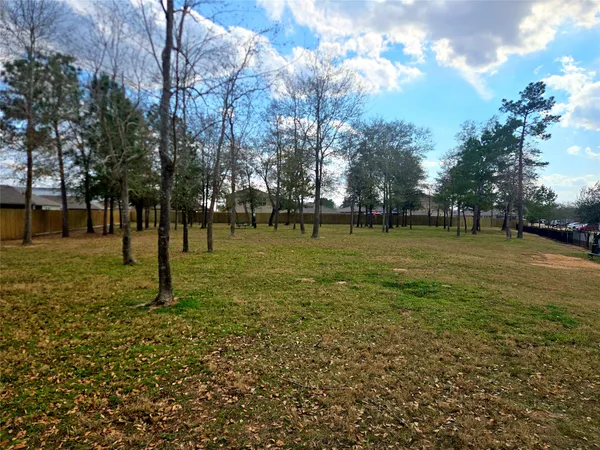 a view of a park with lots of trees