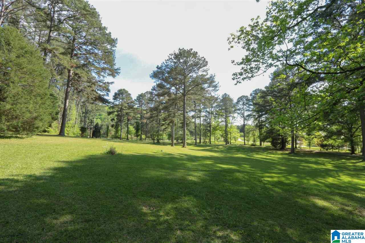 755 Maddox Farm Road Odenville, AL 35120 - Photo 36 of 41