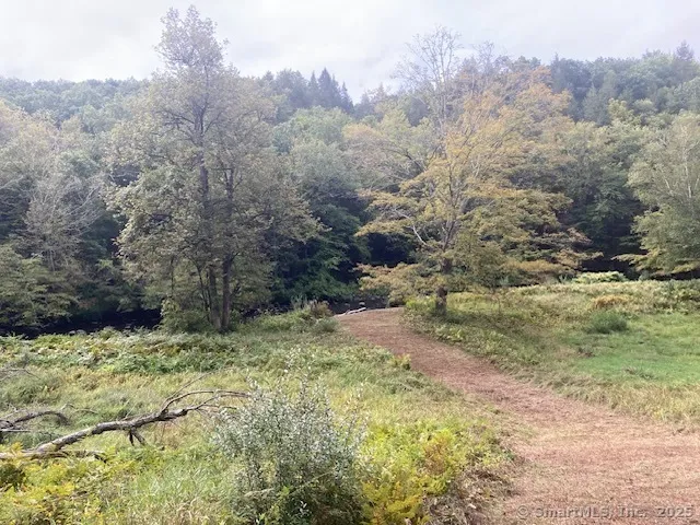 a view of a yard with a tree