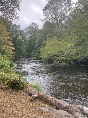 a view of a pathway both side of yard