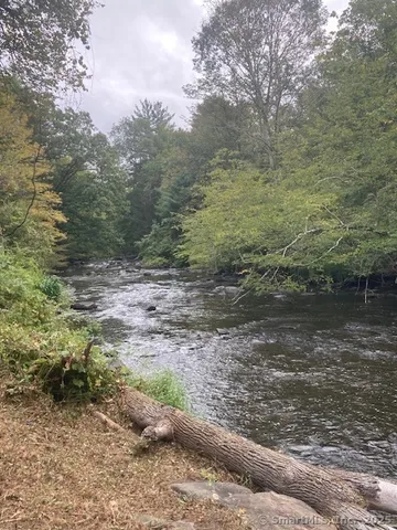 a view of a pathway both side of yard