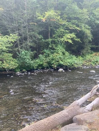 a view of a garden with plants