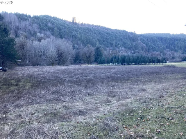 $144,900 | 94296 Horton Road, Blachly, OR 97412