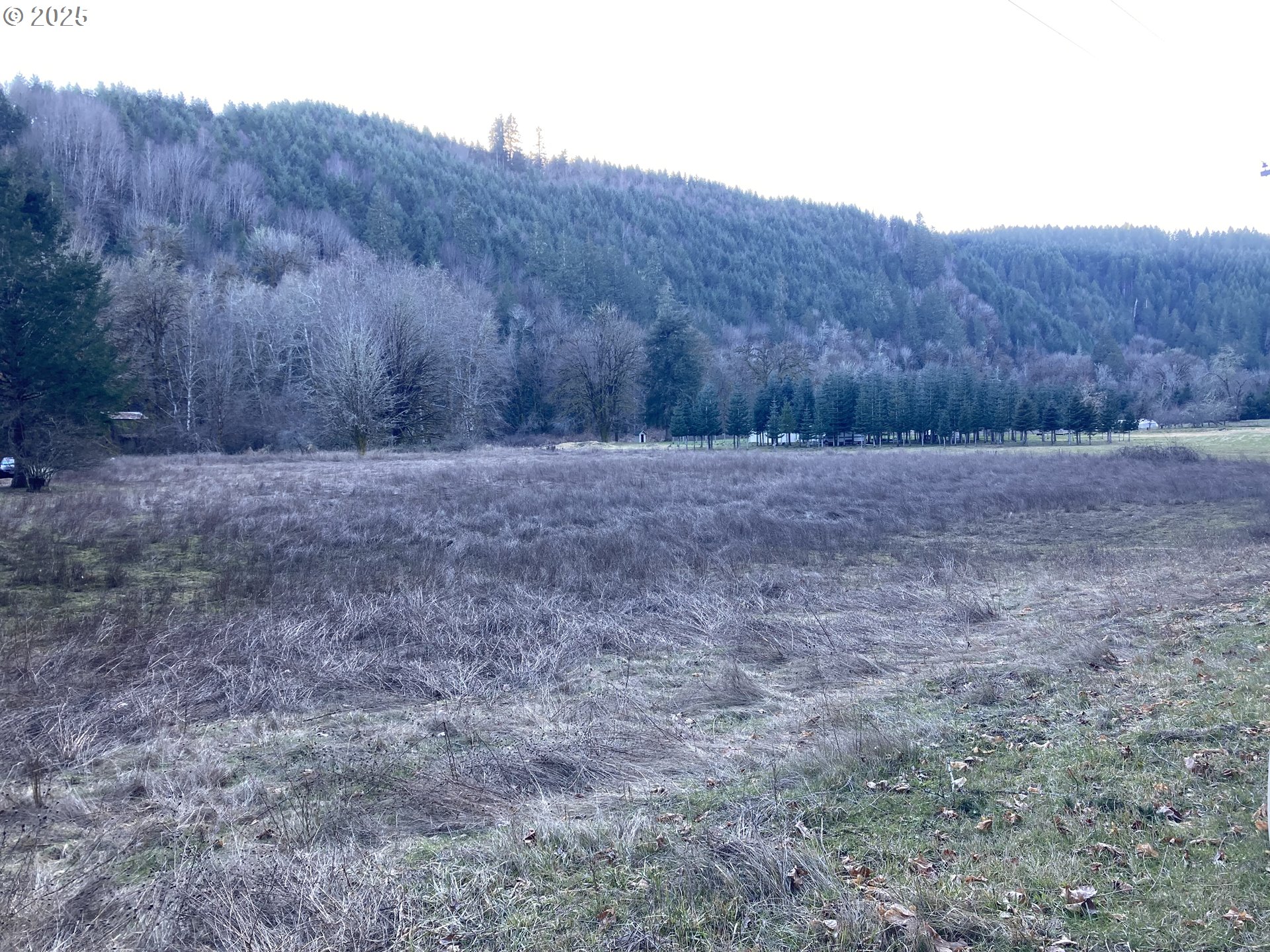 94296 Horton Road Blachly, OR 97412 - Photo 11 of 11