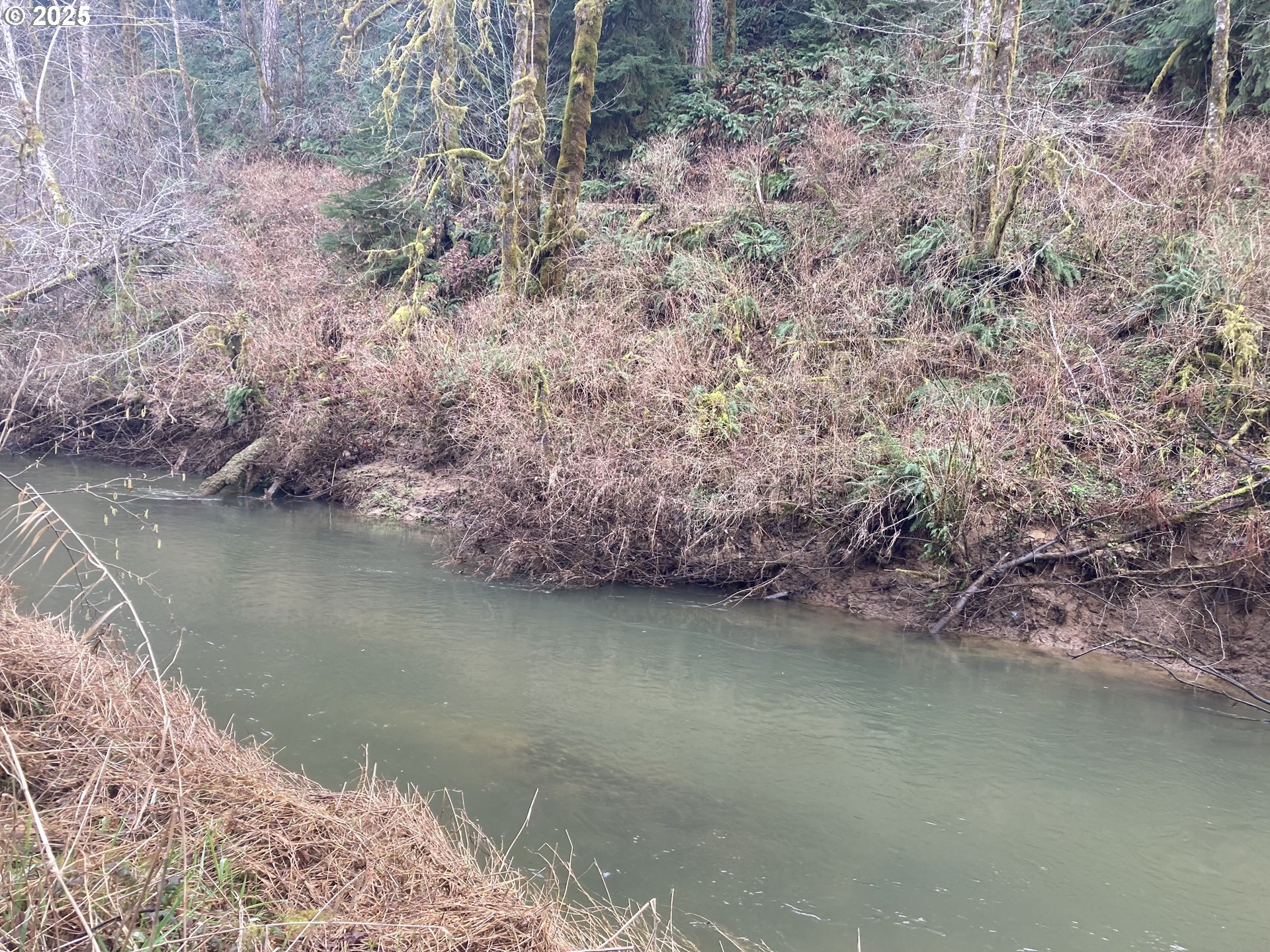 94296 Horton Road Blachly, OR 97412 - Photo 2 of 11