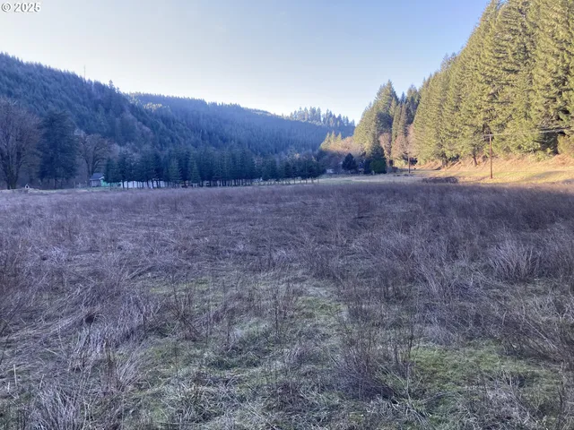$144,900 | 94296 Horton Road, Blachly, OR 97412