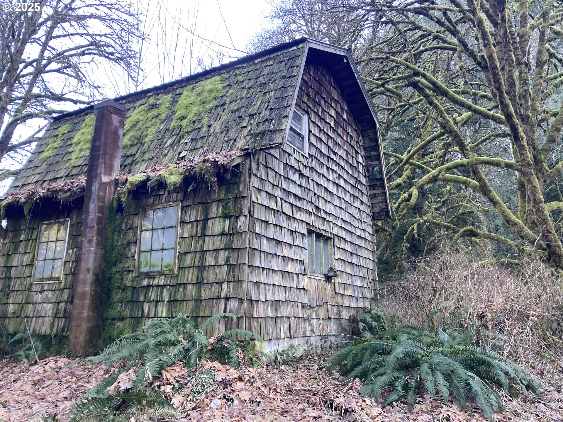 94296 Horton Road Blachly, OR 97412 - Photo 4 of 11