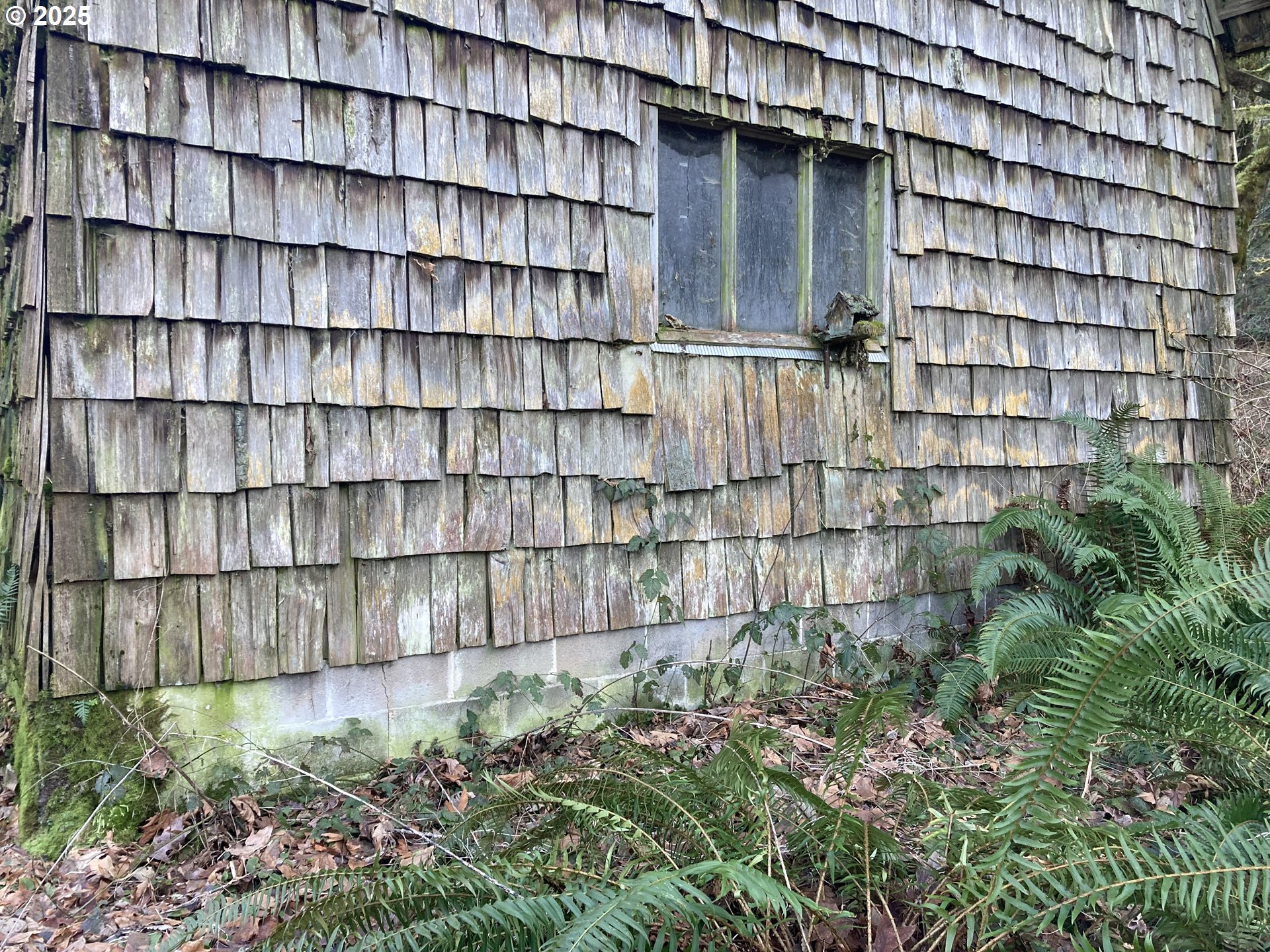 94296 Horton Road Blachly, OR 97412 - Photo 6 of 11