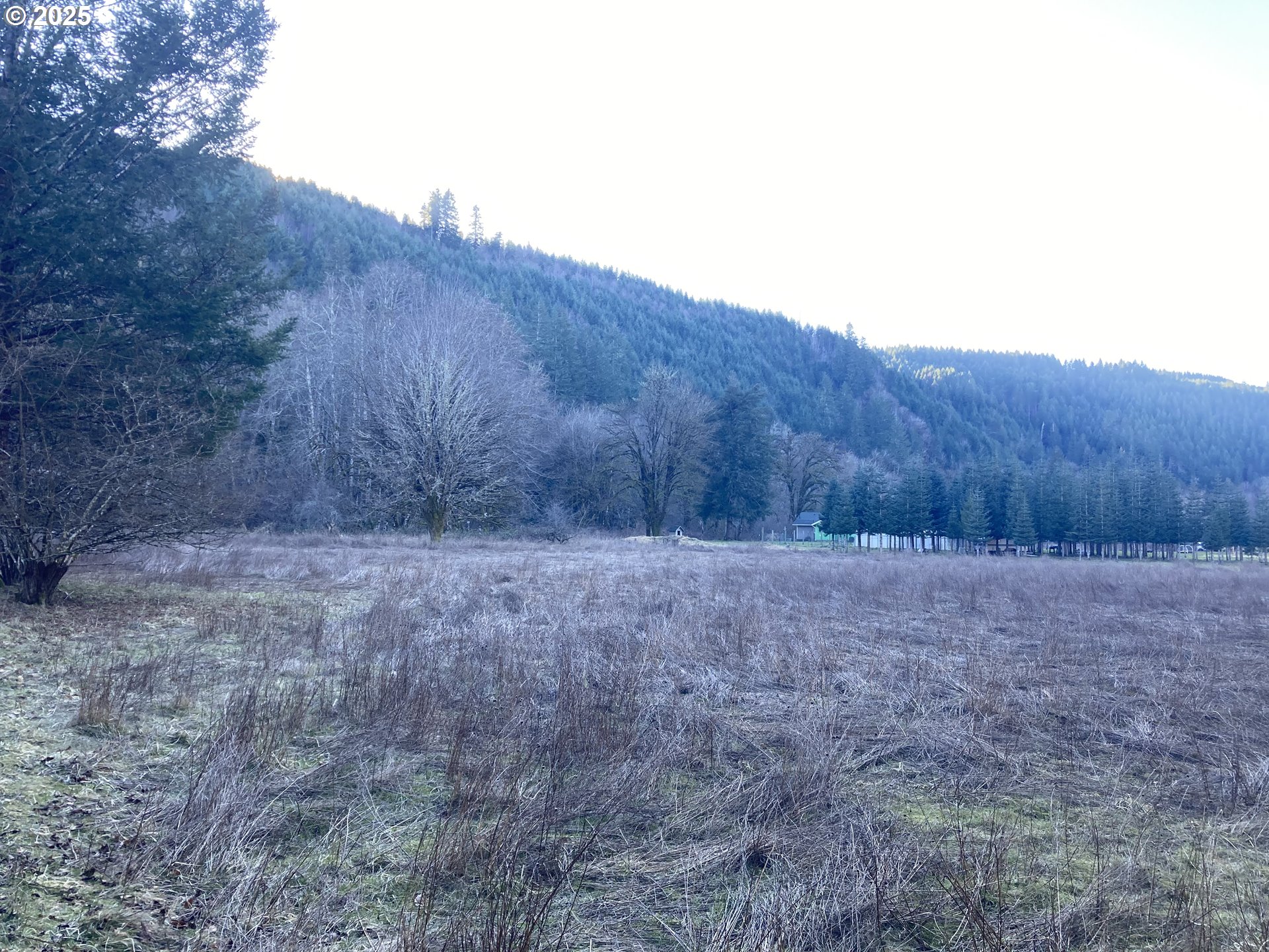 94296 Horton Road Blachly, OR 97412 - Photo 7 of 11