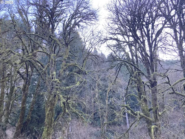 $144,900 | 94296 Horton Road, Blachly, OR 97412