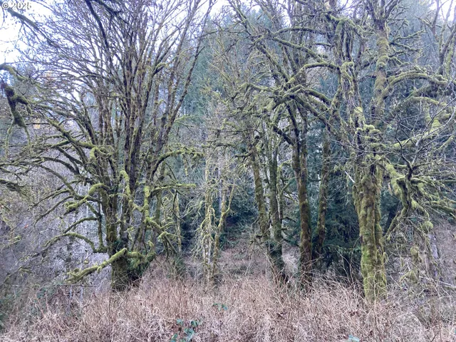 $144,900 | 94296 Horton Road, Blachly, OR 97412