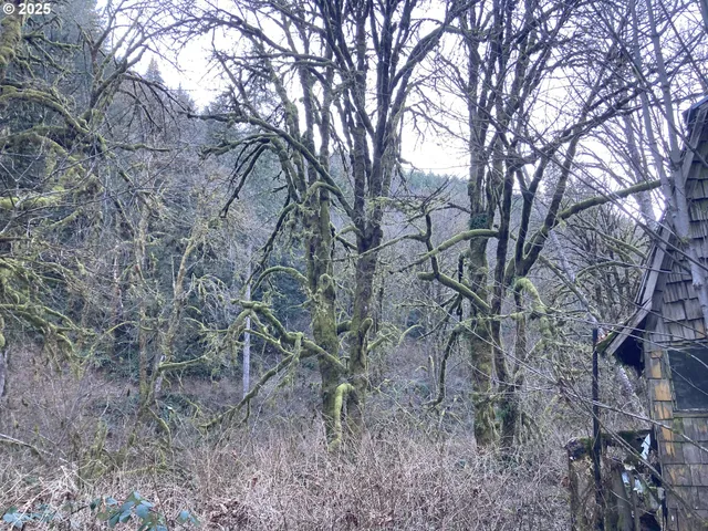 $144,900 | 94296 Horton Road, Blachly, OR 97412