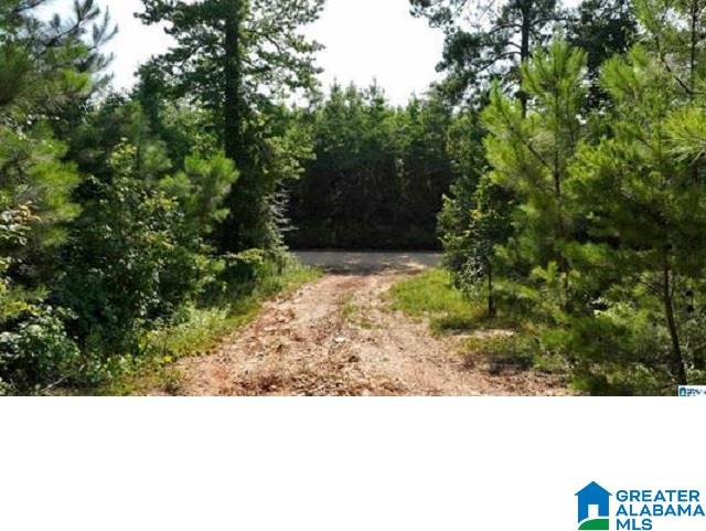 0 County Road 253, Unit 3 Clanton, AL 35046 - Photo 2 of 8