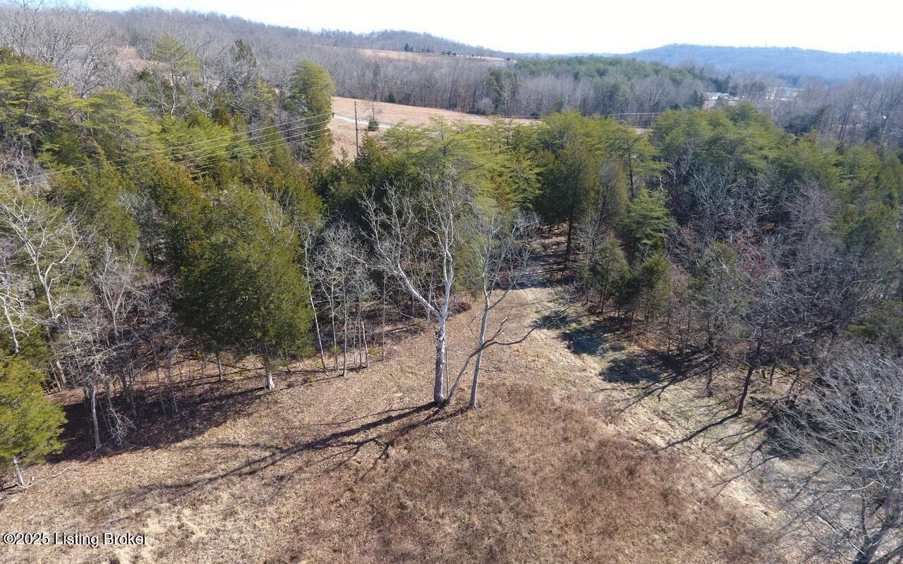 9331 Grayson Springs Road Clarkson, KY 42726 - Photo 22 of 30 9331 Grayson springs aerial14