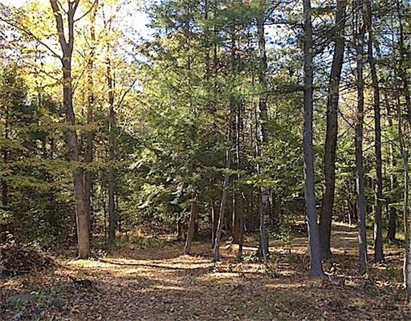 225 Beech Hill Road Warwick, MA 01378 - Photo 3 of 9 Gallery Image 3